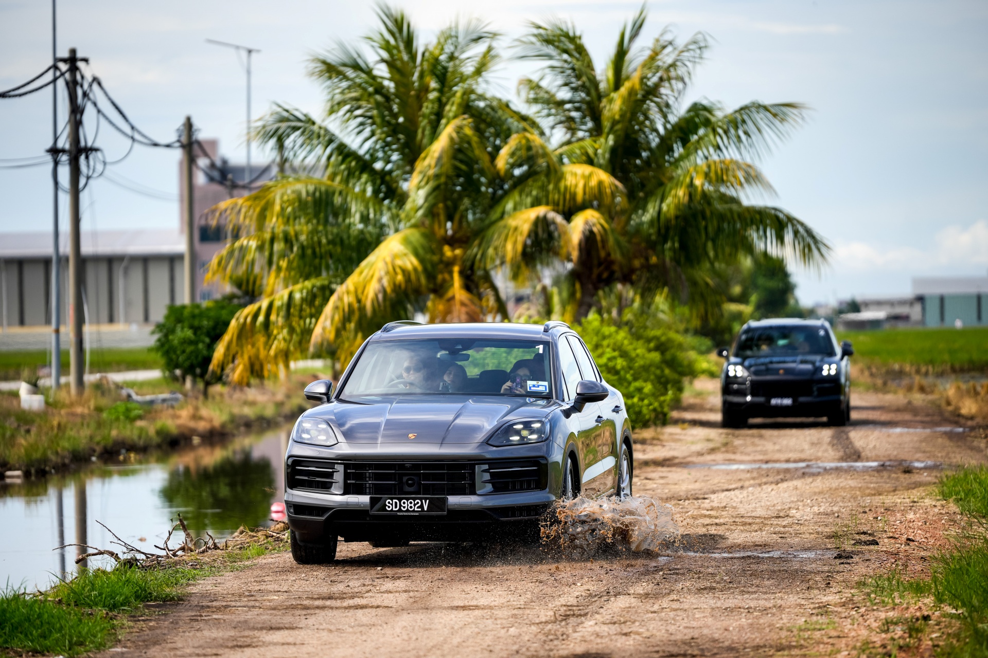 cayenne