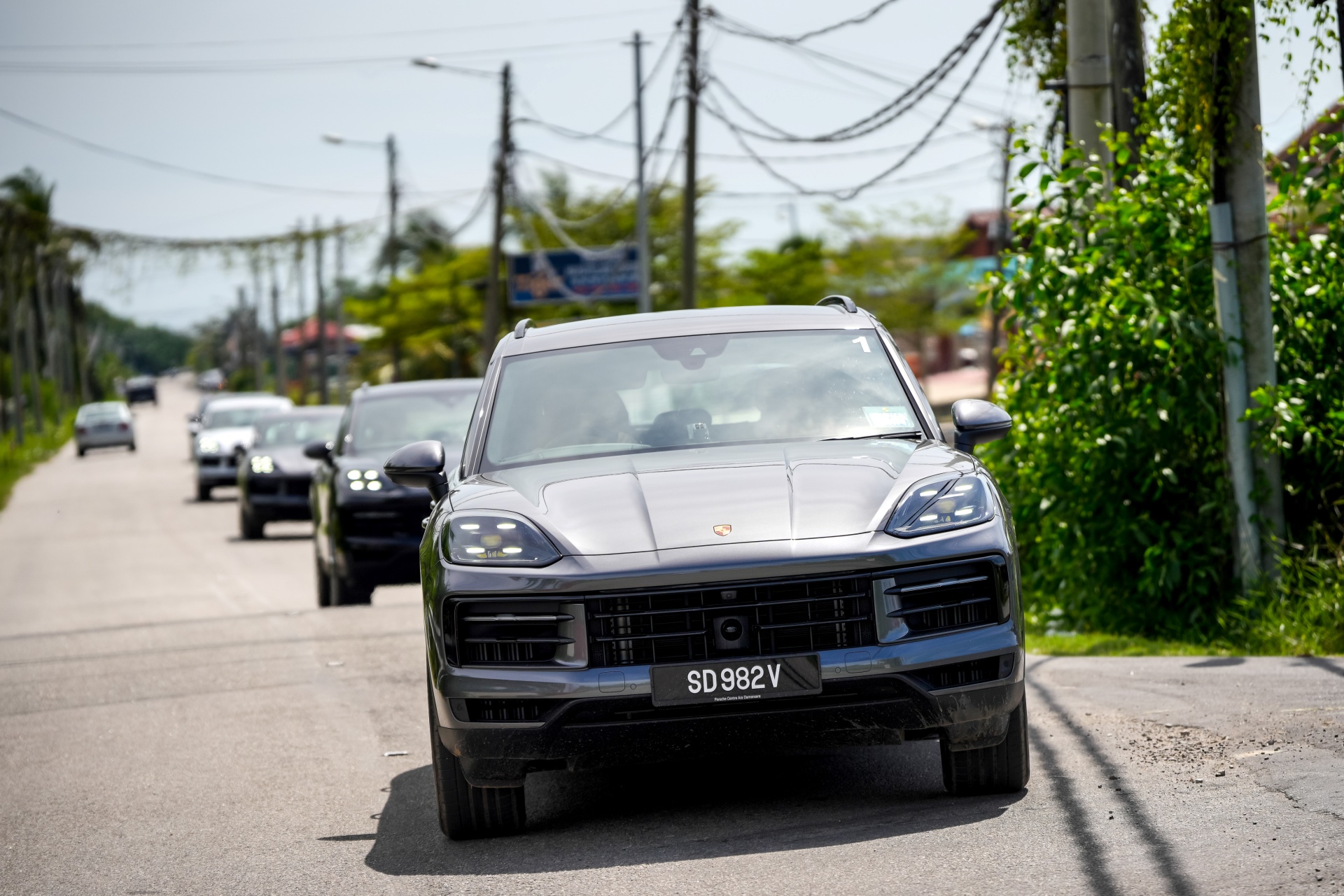 cayenne