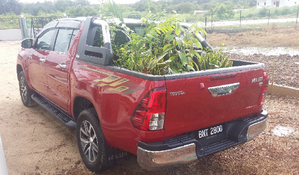 Hilux with vases